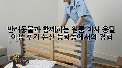 반려동물과 함께하는 원룸 이사, 용달 이용 후기: 논산 등화동에서의 경험