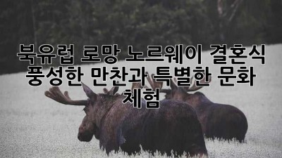 북유럽 로망, 노르웨이 결혼식👰🤵: 풍성한 만찬과 특별한 문화 체험!