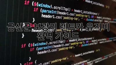 금산군 보광리 렌트카 유지비 완벽 가이드